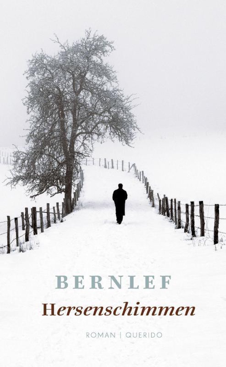 Hersenschimmen Cover